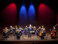 Slovene Philharmonic String Chamber Orchestra 2014 concert at Nova Gorica Arts Centre Photo Matej Vidmar.jpg