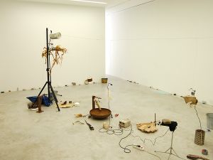 Rie Nakajima & Pierre Berthet at <!--LINK'" 0:221-->, <!--LINK'" 0:222-->, 2016