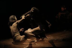 The virtual Q&A between Mieko Kawakami and Nagisa Moritoki Škof that was accompanied by a butoh performance by Darinka Pillari took place at the <!--LINK'" 0:235--> Club in 2022. It presented Summer Stories, the latest novel by Japanese author Mieko Kawakami - a portrait of contemporary womanhood in Japan.