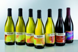 Design for Bužinel wine by <!--LINK'" 0:7-->, 2009