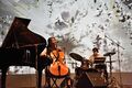 Sajeta Creative Camp 2018 Bowrain Photo Goran Jevtic.jpg