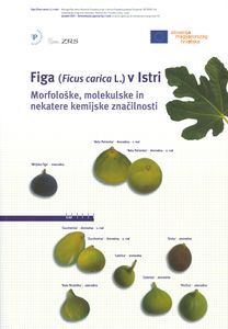<i>Figa v Istri</i>, edited by Dunja Bandelj Mavsar