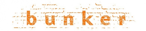 Bunker Institute (logo).JPG