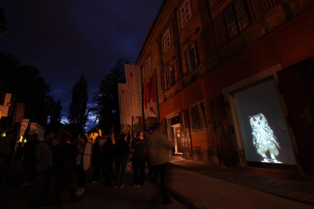 Lighting Guerrilla Festival 2013 Fragments of the World.JPG