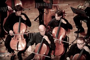 <i>Maribor Festival Orchestra</i>, September 2010