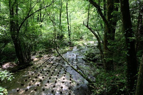 A Tangible Encounter - Workshop and installation on Koderjana stream by the Dutch architecture office Studio Wild in collaboration with the student of the Faculty of Architecture in Ljubljana (Topolò/Topolove, spring 2019).