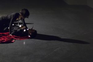<!--LINK'" 0:134--> and <!--LINK'" 0:135--> in <i>Desire Caught by the Tail</i>, directed by <!--LINK'" 0:136--> and staged at the <!--LINK'" 0:137-->, 2014. A play written by Pablo Picasso in 1941 in Paris, was tranlated into Slovene by <!--LINK'" 0:138-->.