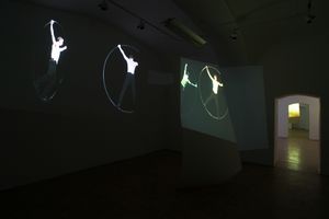 Video projections <i>Night Flight</i> by artist <i>Jasna Hribernik</i> at the <!--LINK'" 0:605-->, 2010 - 2011