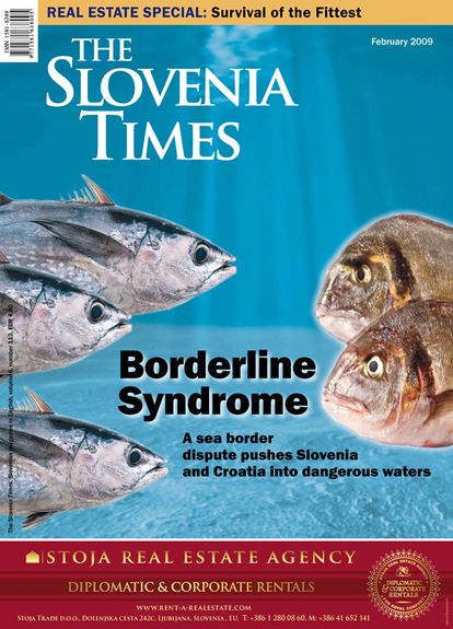 Cover of The Slovenia Times magazine, No. 113, February 2009