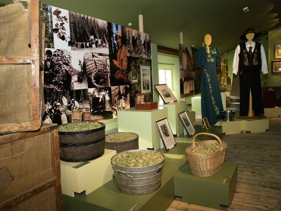 The material in the collection of the Eco-Museum of Hop-Growing and Brewing Industry in Slovenia, created with the help of villagers in the surrounding municipalities, from their own collections of tools and memorabilia