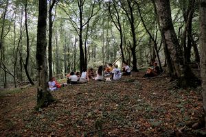 Summer school of the <!--LINK'" 0:11-->, a collective learning experience in the village of Topolò (summer 2022). Collective reading moment in the forest.