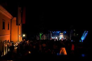Concert at Muzejski vrtovi (museum gardens), <!--LINK'" 0:393-->, Novo mesto, 2010