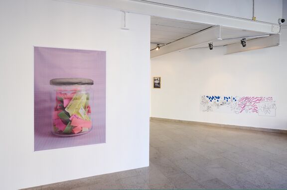 Judit Flora Schuller, a resident at the AiR Celeia, with a final exhibition "Mothers in the Himalayas" at the Likovni salon Celje. Photo Tomo Jeseničnik.