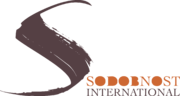 Sodobnost International Cultural Society