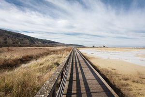 Sečovlje Regional Park, 2020.