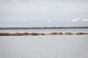 Sečovlje Regional Park, 2020.