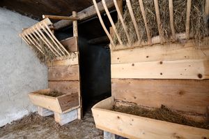 A small stable in the basement of <!--LINK'" 0:9-->, suitable for a few domestic animals, 2005