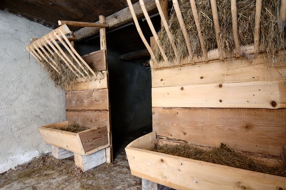 A small stable in the basement of France Bevk Homestead, suitable for a few domestic animals, 2005