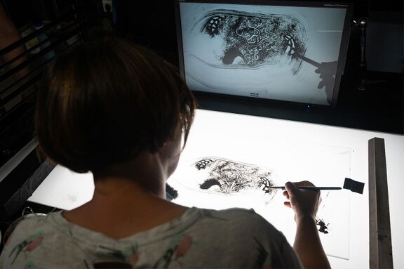 Animator Špela Čadež at work. The peer2peer meeting of the DSAF resident Naomi van Niekerk with Slovene animators in September 2024 at Finta Studio.