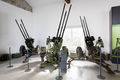 Park of Military History Pivka 2020 Anti-aircraft guns Photo Kaja Brezocnik.jpg