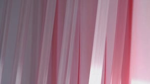 Marko Ornik, GPSP (Gibljivi Prostori Slikarske Podobe), 2008/09