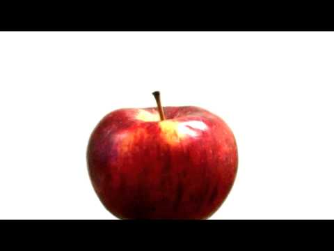 Prototip